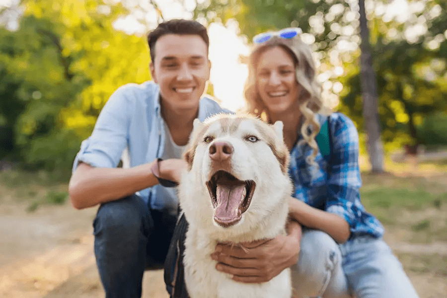 Hunde-Krankenversicherung