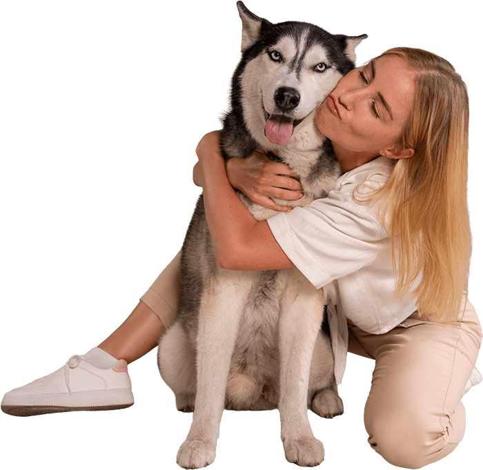 Hundeversicherung